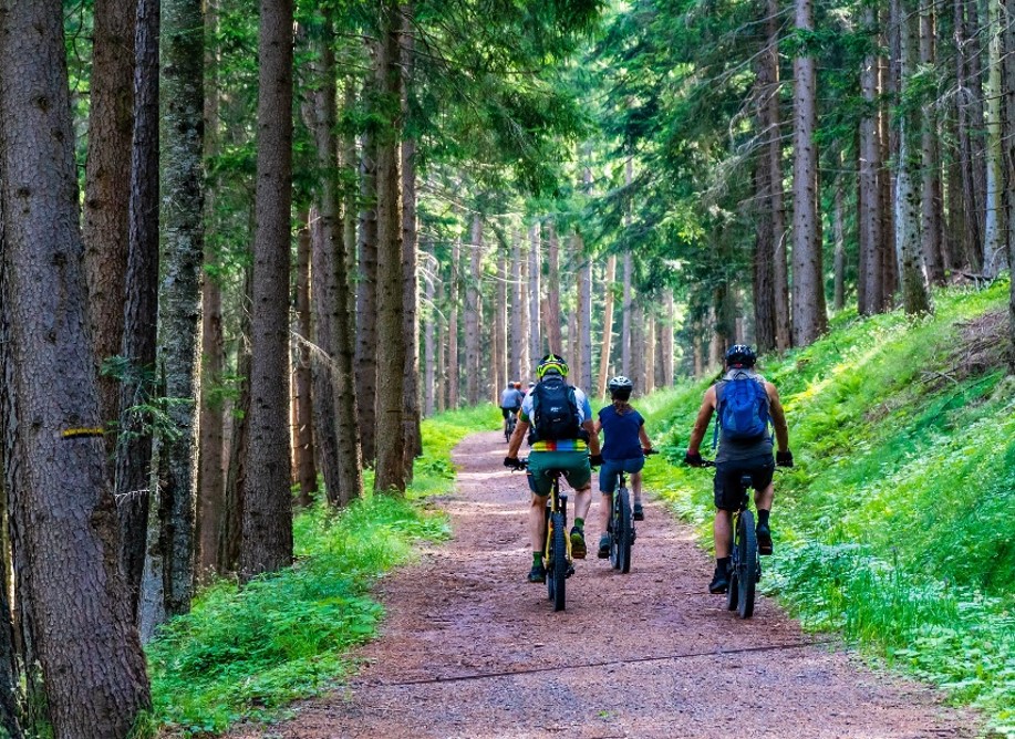 3 cyklister på  väg i skogen